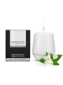 Świeca Feromonowa Valavani Candle Jasmine Romance Magnetifico
