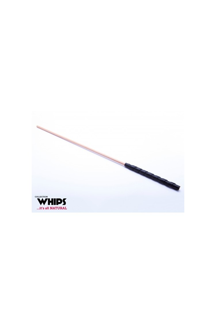Trzcinka Bukowa Whips