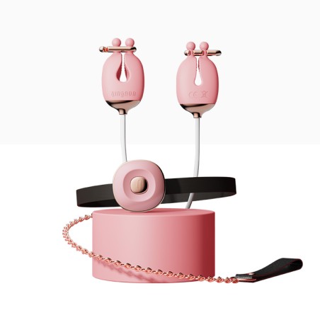 Zaciski No.2 Vibrating Nipple Clamps And Choker Set Pink Qingnan