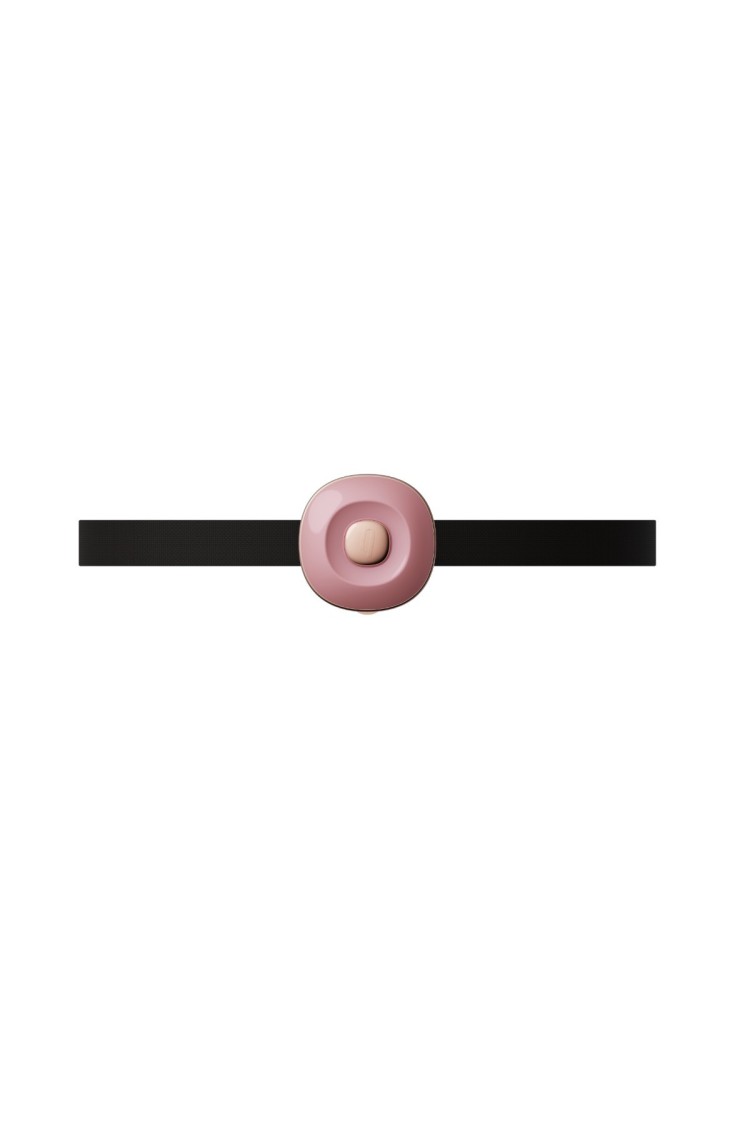 Zaciski No.2 Vibrating Nipple Clamps And Choker Set Pink Qingnan