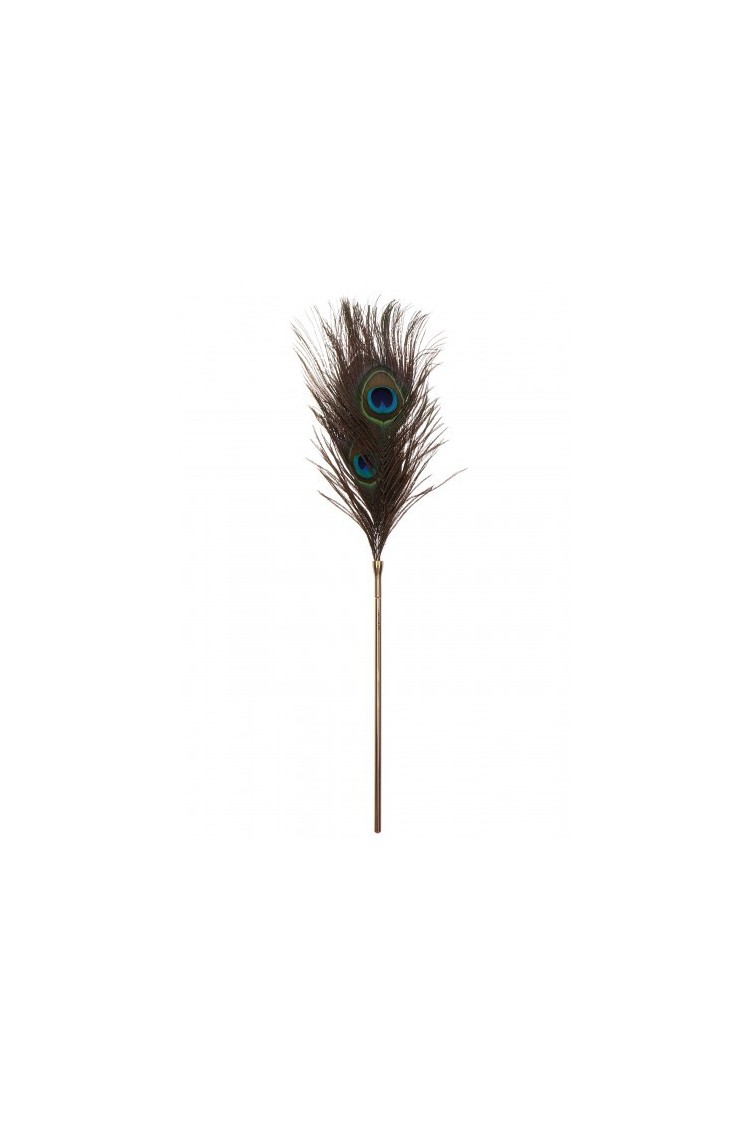 Pawie Piórko Dona Peacock Tickler Taboom