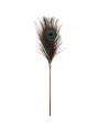 Pawie Piórko Dona Peacock Tickler Taboom