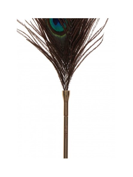 Pawie Piórko Dona Peacock Tickler Taboom