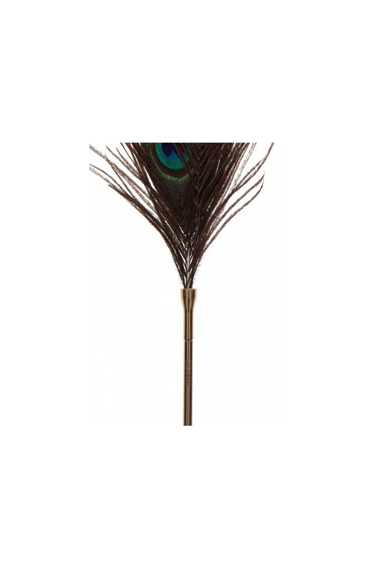 Pawie Piórko Dona Peacock Tickler Taboom