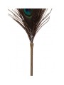 Pawie Piórko Dona Peacock Tickler Taboom