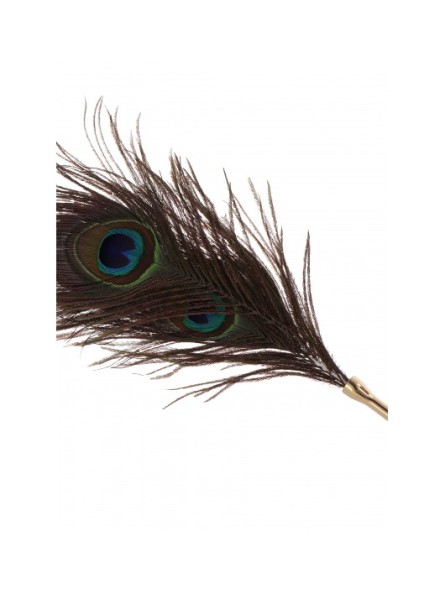 Pawie Piórko Dona Peacock Tickler Taboom