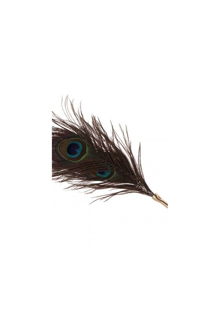 Pawie Piórko Dona Peacock Tickler Taboom