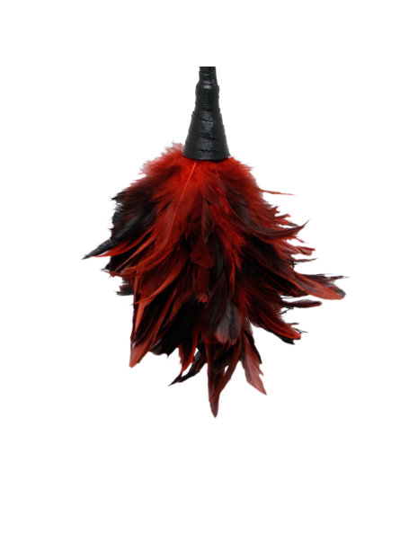 Piórka Do Łaskotania Fetish Fantasy Frisky Feather Duster Red Pipedream