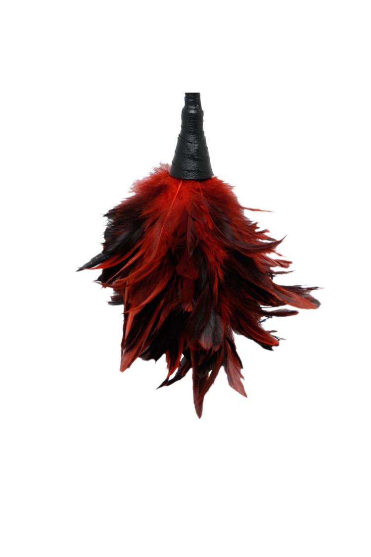 Piórka Do Łaskotania Fetish Fantasy Frisky Feather Duster Red Pipedream