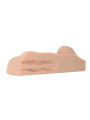 Masturbator Pdx Plus Perfect Dd'S Masturbator Light Pipedream