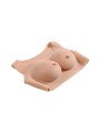 Fantom Piersi Undergarments Plate C-Cup Light Gender X