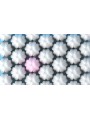 Masturbator Cherry Blossom Masturbation Egg - Wavy After Kiss