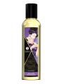 Zestaw Olejków Do Masażu Fruity Kisses Collection Shunga