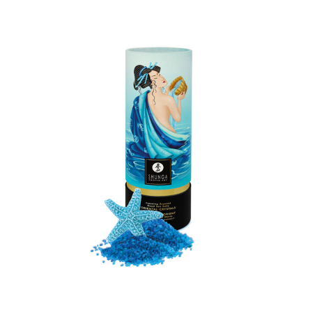 Sól Do Kąpieli Oriental Bath Crystals Aqua Based 500G Shunga