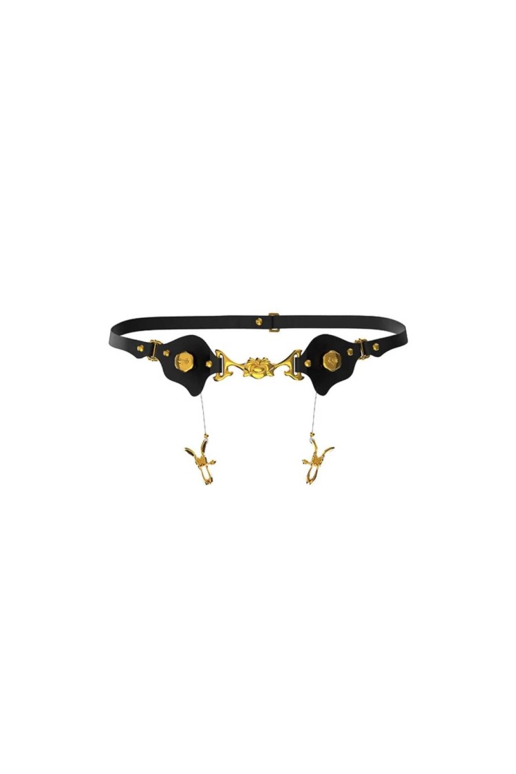 Pas Mystic Bond Collection - Belt With Labia Extender Clamps UPKO