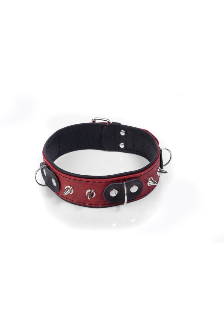 Obroża Crazy Horse Red S Whips