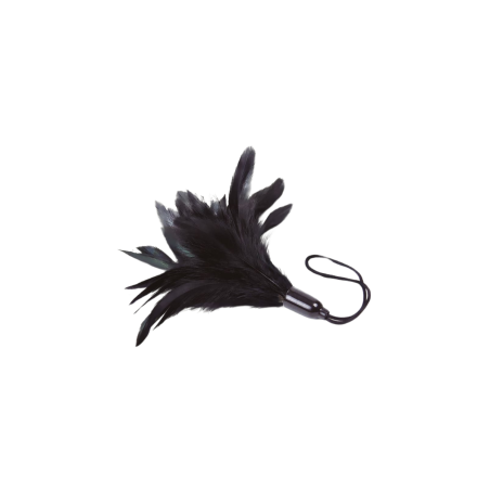 Feather Tickler Black - Prestiżowe Pióra Adrien Lastic