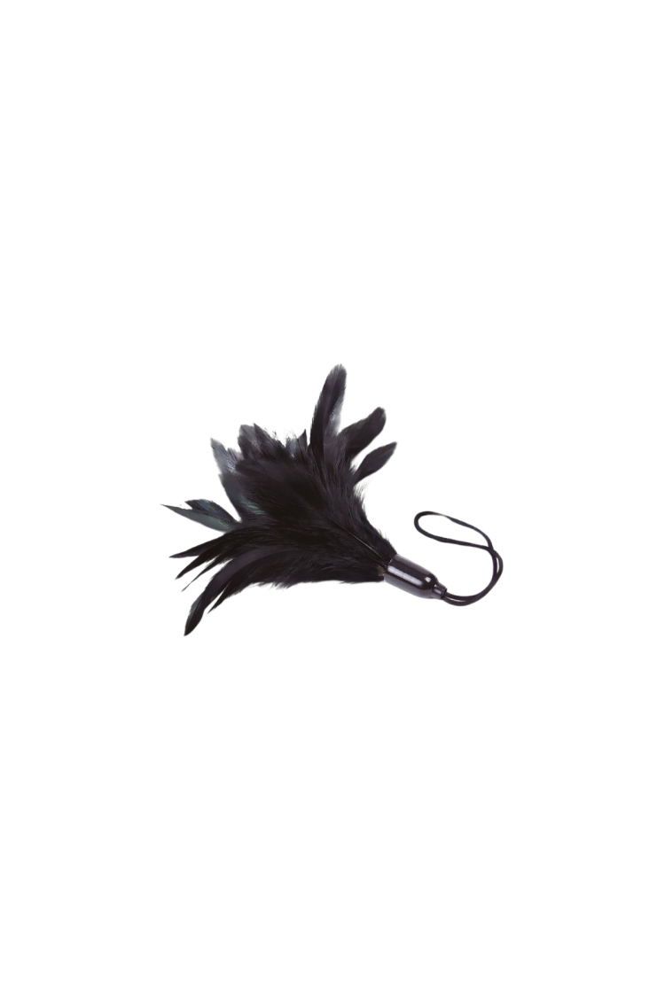 Feather Tickler Black - Prestiżowe Pióra Adrien Lastic