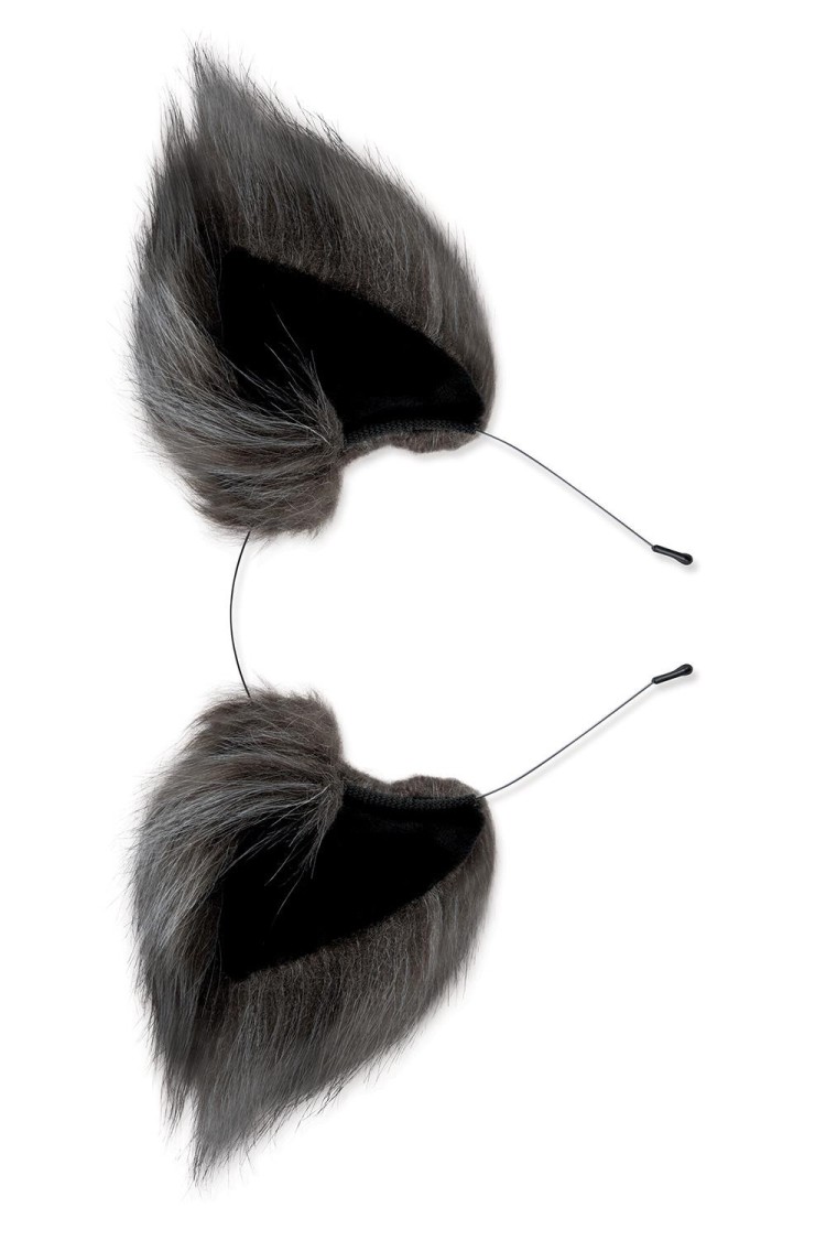Zestaw Lis Korek Analny I Uszy Plug Grey Fox Tail Set Whipsmart