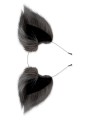 Zestaw Lis Korek Analny I Uszy Plug Grey Fox Tail Set Whipsmart