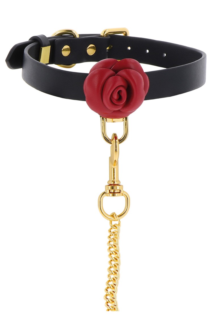 Obróżka Ze Smyczą Wild Roses Collar & Leash Taboom