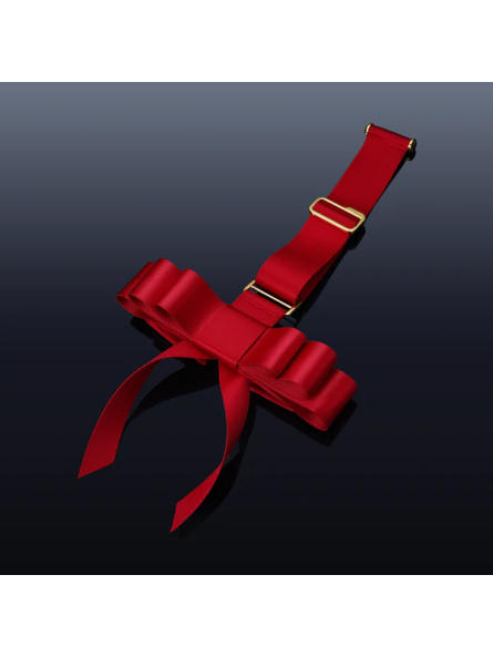 Portable Bowknot Over-The-Door Hand Restraint Gear UPKO