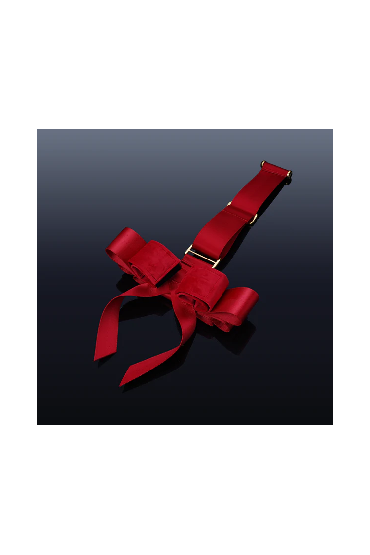 Portable Bowknot Over-The-Door Hand Restraint Gear UPKO