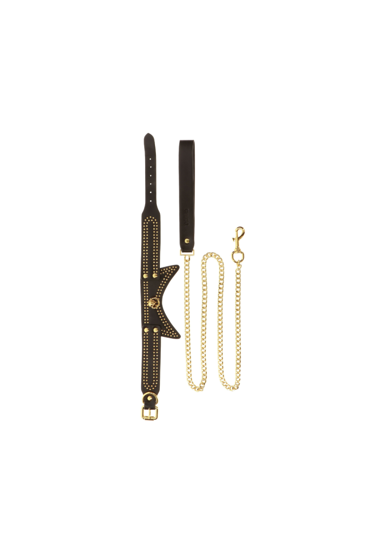 Obróżka Ze Smyczą Vogue Studded Collar And Leash Taboom