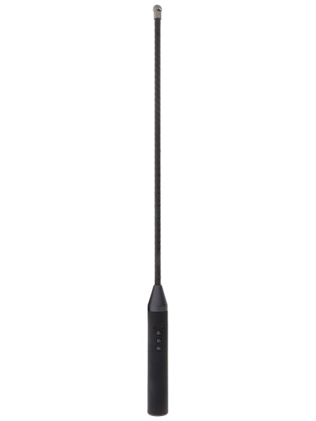 Extreme Electro Cane Hidden Desire