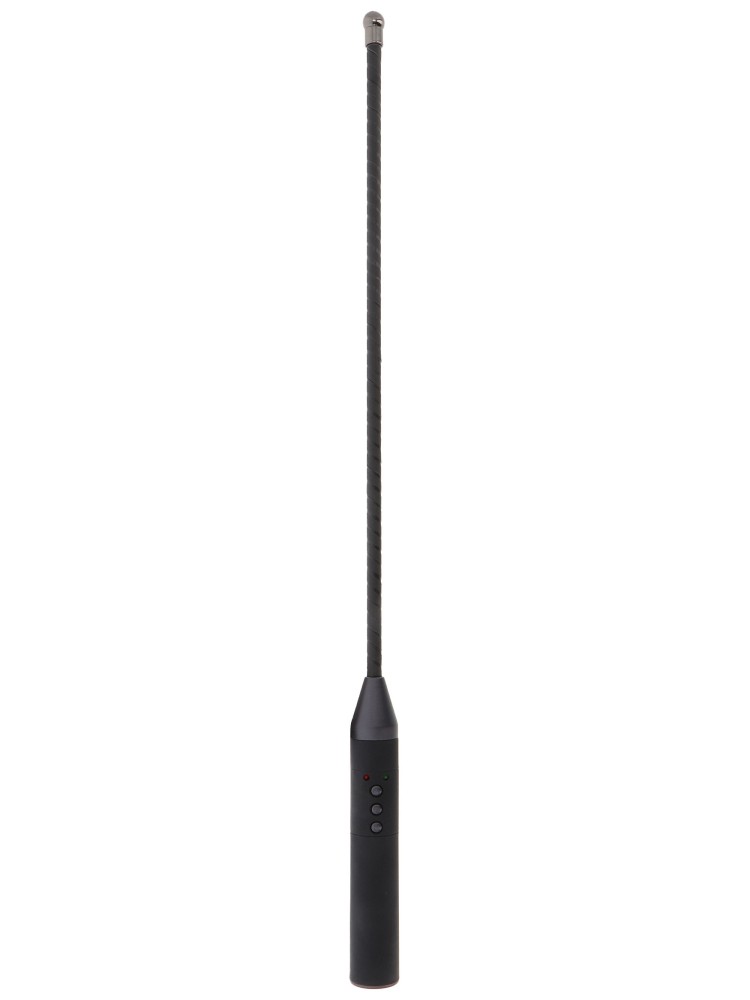 Extreme Electro Cane Hidden Desire