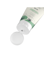 Luxuria Bio Cannabis Lubricant 100 Ml IntimateLine
