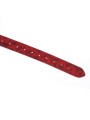 Kinbaku Ukiyoe Bal Gag With Red Rosy Leather Straps Liebe Seele