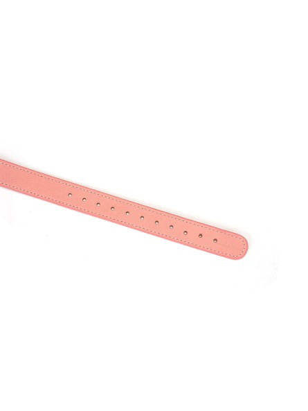 Knebel Pink Dream Ball Gag Liebe Seele