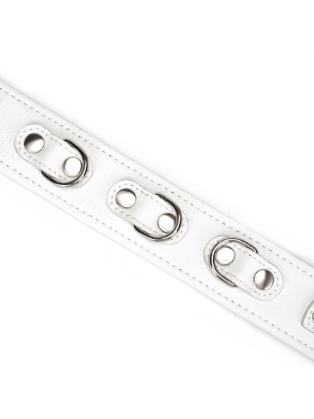 Obróżka Ze Smyczą Fuji White Collar With Leash Liebe Seele