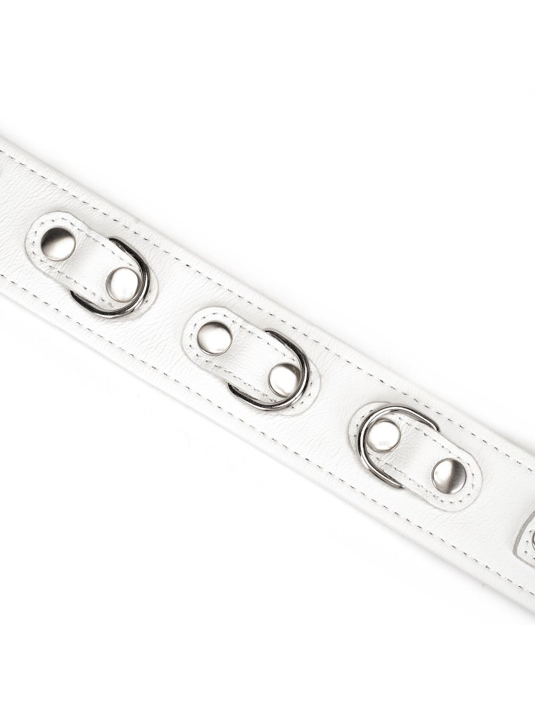 Obróżka Ze Smyczą Fuji White Collar With Leash Liebe Seele