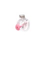 Pas cnoty Guardian Chastity Cage Clear Size 0 CELLMATE