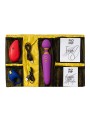 Zestaw gadżetów erotycznych Pleasure Kit Romp