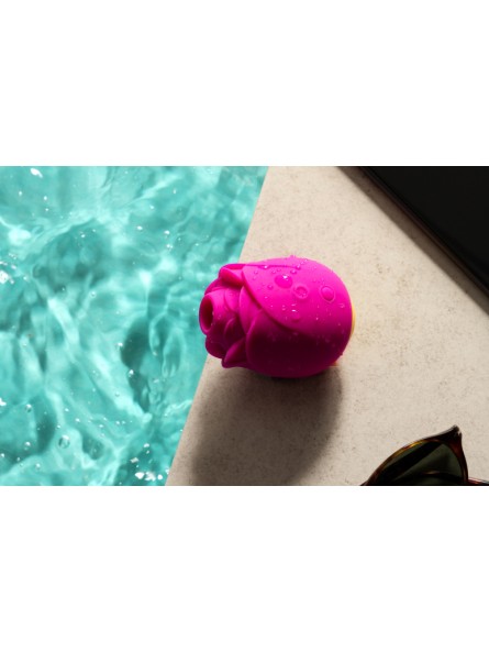 Powietrzny stymulator łechtaczki Rose Romp