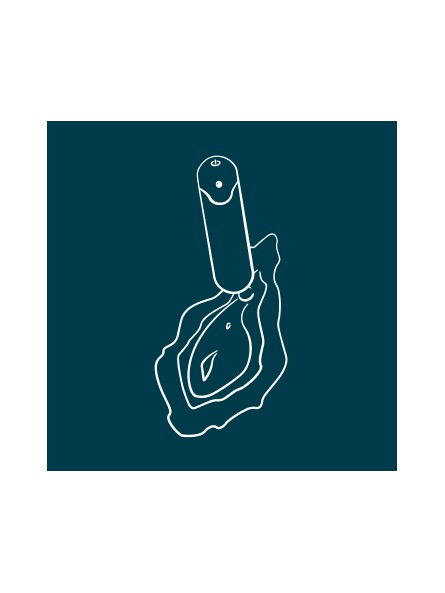 Wibrator bullet Riot Orange Romp