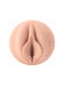 Masturbator Fantasy Evie Akashiya Sho Akuma Fleshlight