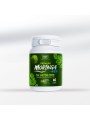 Suplement dla mężczyzn Premium Moringa Active Men Caps 60 Stk. Hot