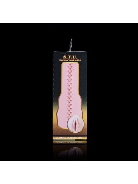 Masturbator Pink Lady Stamina Training Unit Fleshlight
