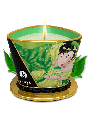 Świeca Do Masażu O Zapachu Zielonej Herbaty Green Tea Massage Candle 170 Ml Shunga