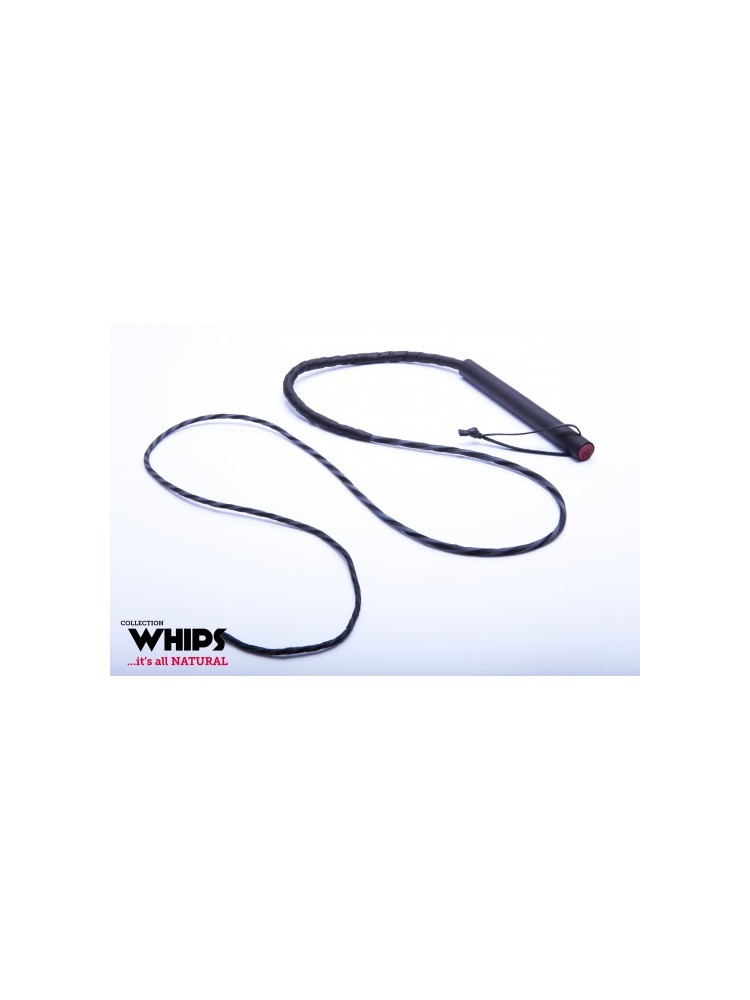 Bat 135 Cm Whips
