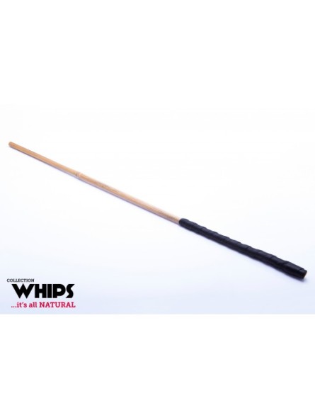 Trzcinka Bambusowa Whips