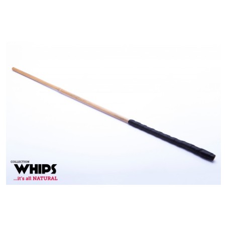 Trzcinka Bambusowa Whips