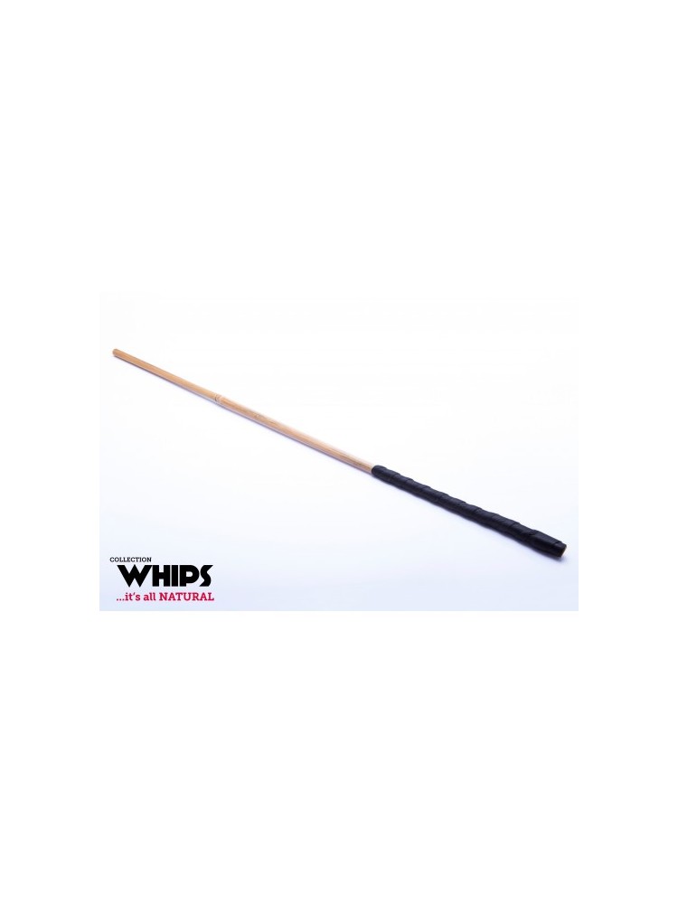 Trzcinka Bambusowa Whips