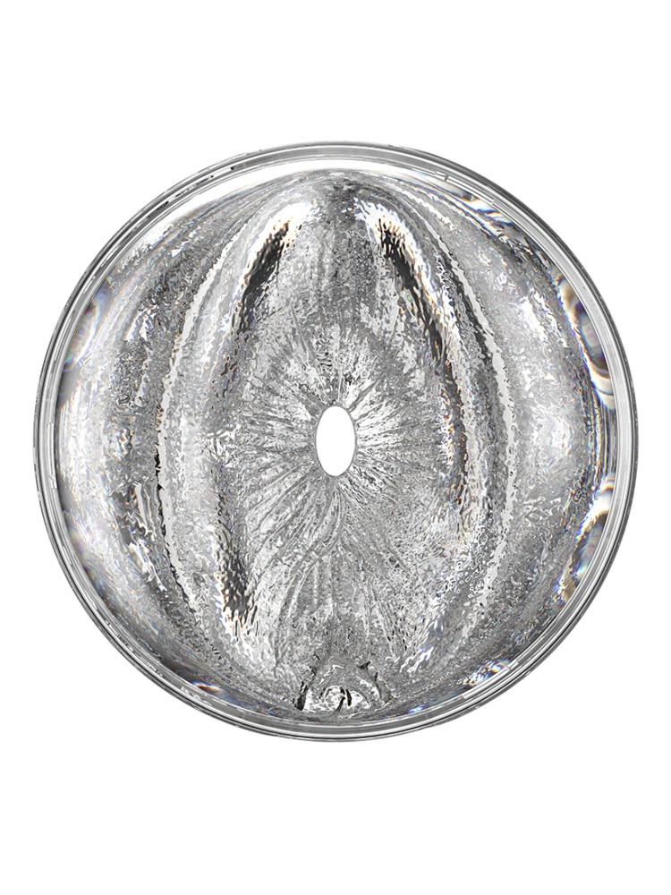 Masturbator Quickshot Stoya Transparent Fleshlight