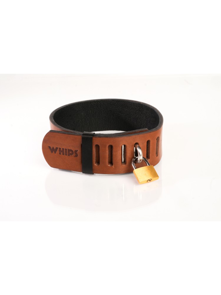 Obroża z kłódką brązowa L Primal Bond Whips