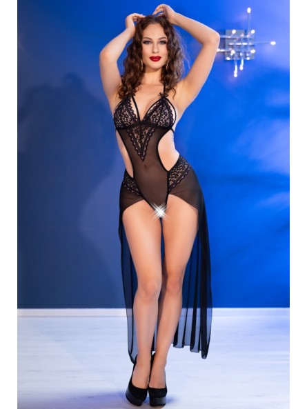 CR 4684 Body